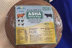 Asha-Mahila-Milk-Producer-Company-Udaipur8