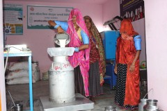 6.-Velangri-Milk-Collection-Asha