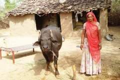 Asha-Gallery-15