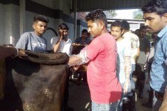 Asha-Gallery-16