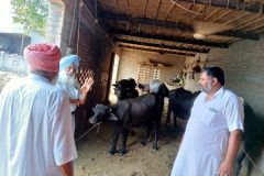 Farmers-meeting-at-Phullo-2