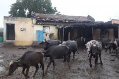 indujaa-Gallery-12