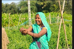 Potential-of-financial-inclusion-5