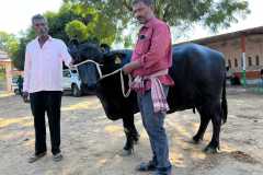 Yavatmal5