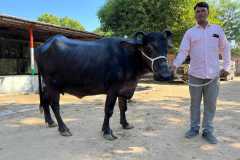 Yavatmal6