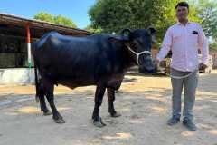 Yavatmal6