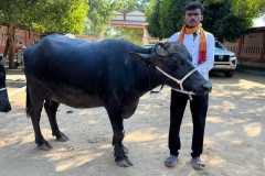 Yavatmal9